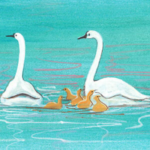 Cygnet watch Giclee on Paper