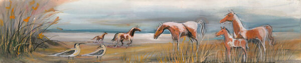 DP-The Wild Ponies of Assateague Giclée